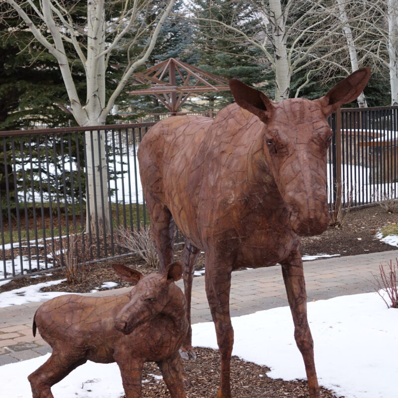 Mama and baby moose