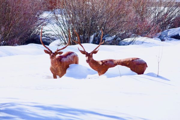 Winter Deer sculpture