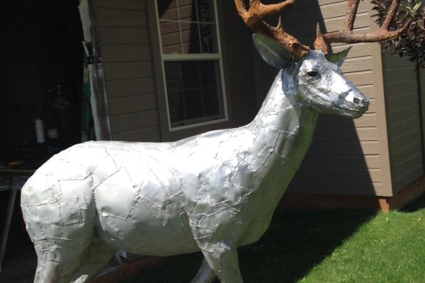 Leaping deer