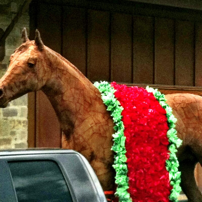 horse with ribbon