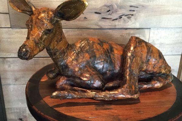 fawn on table