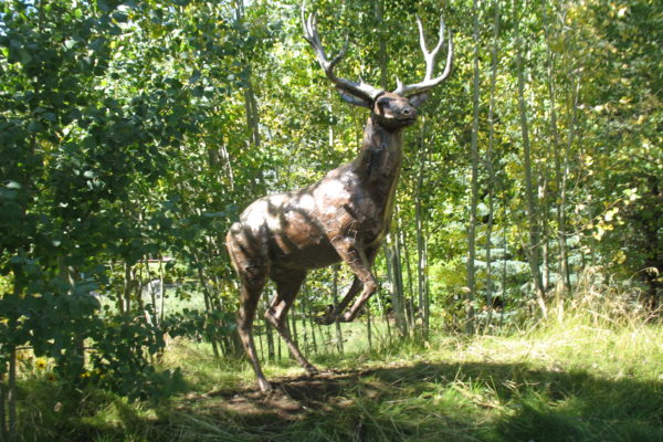 elk in trees